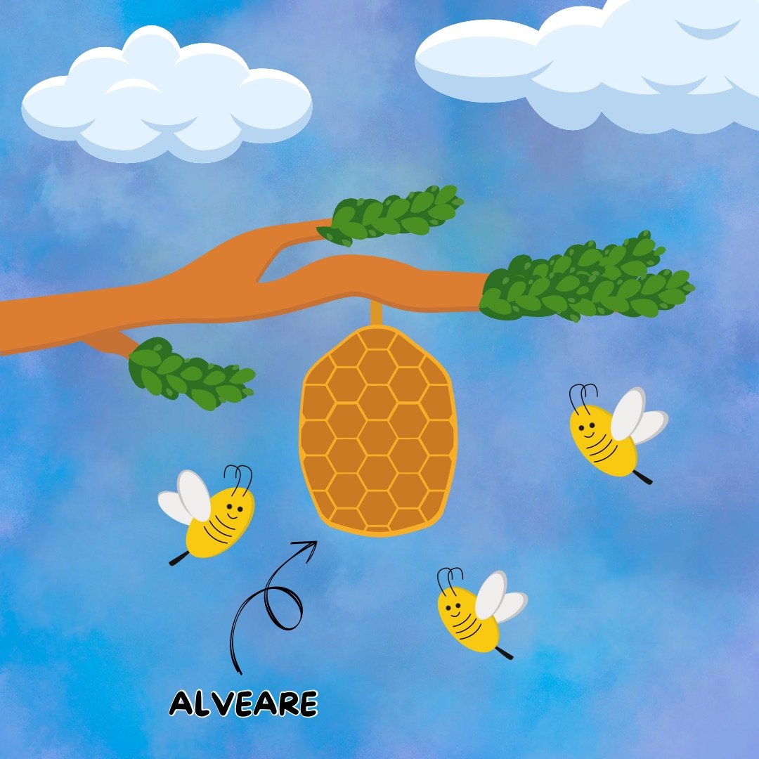 Il meraviglioso mondo delle api